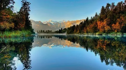 先进高端